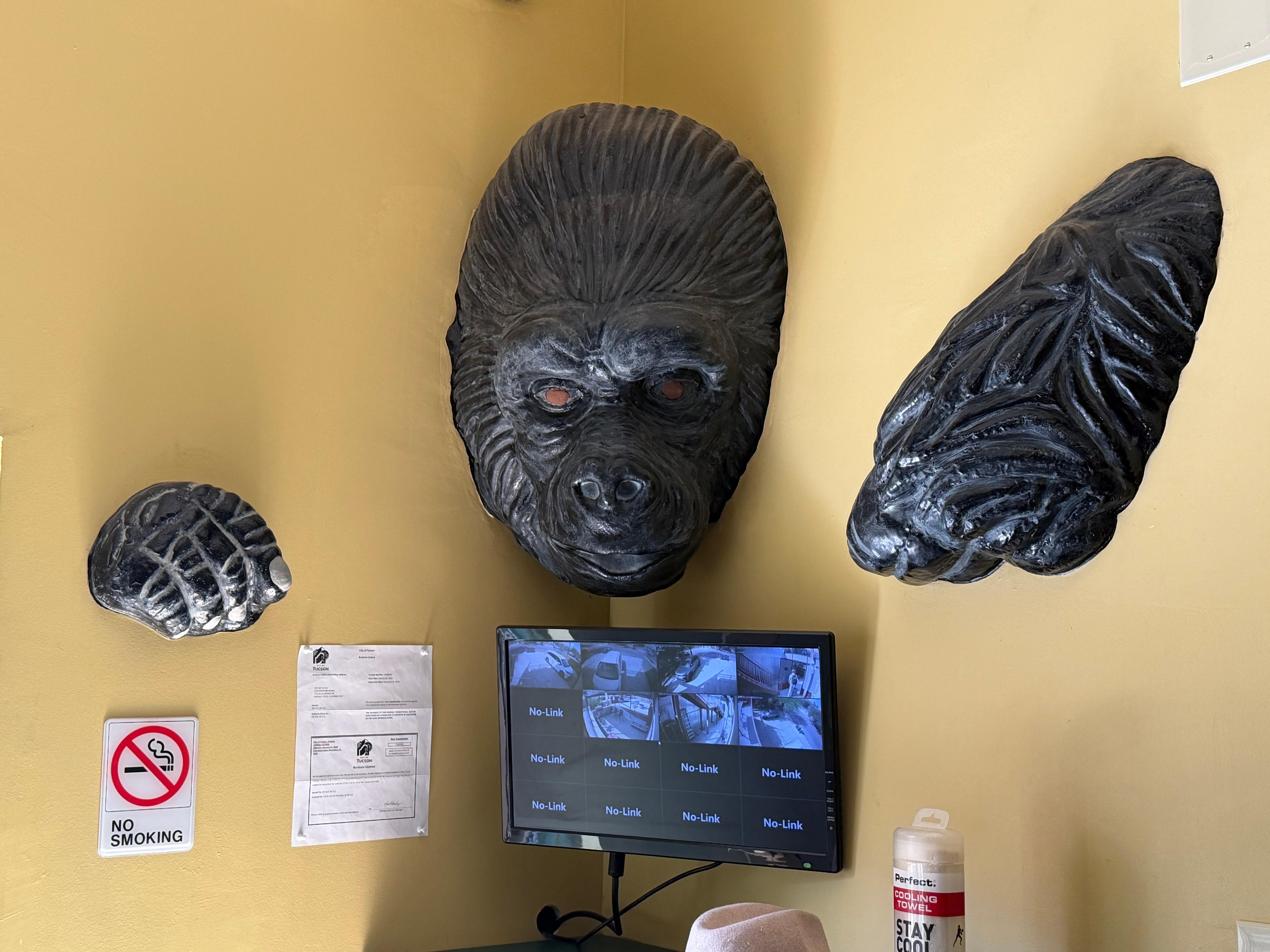 One of a kind security system.