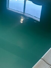 oil substance in pool
