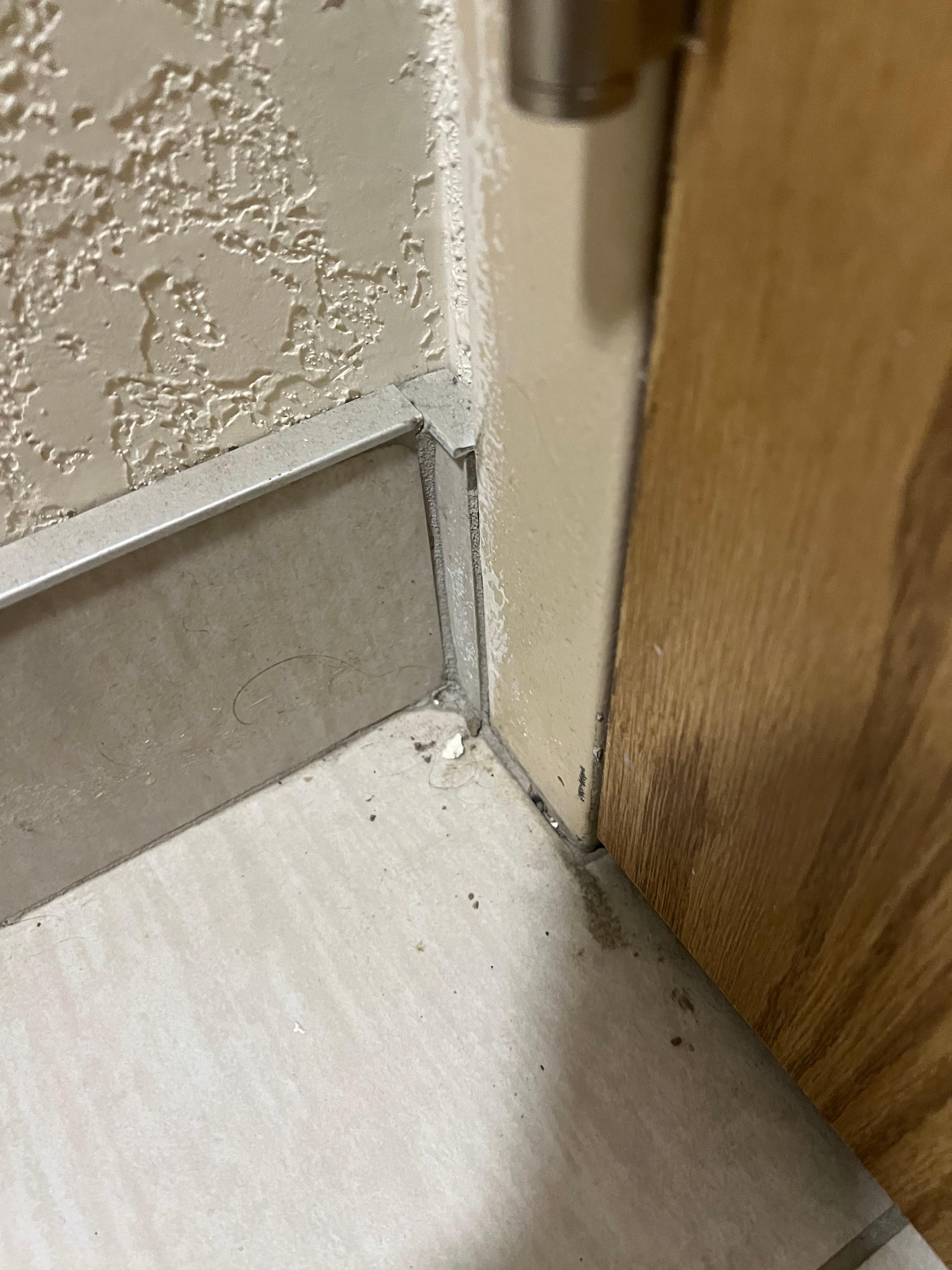 Complete with unmopped floors and previous guests hair