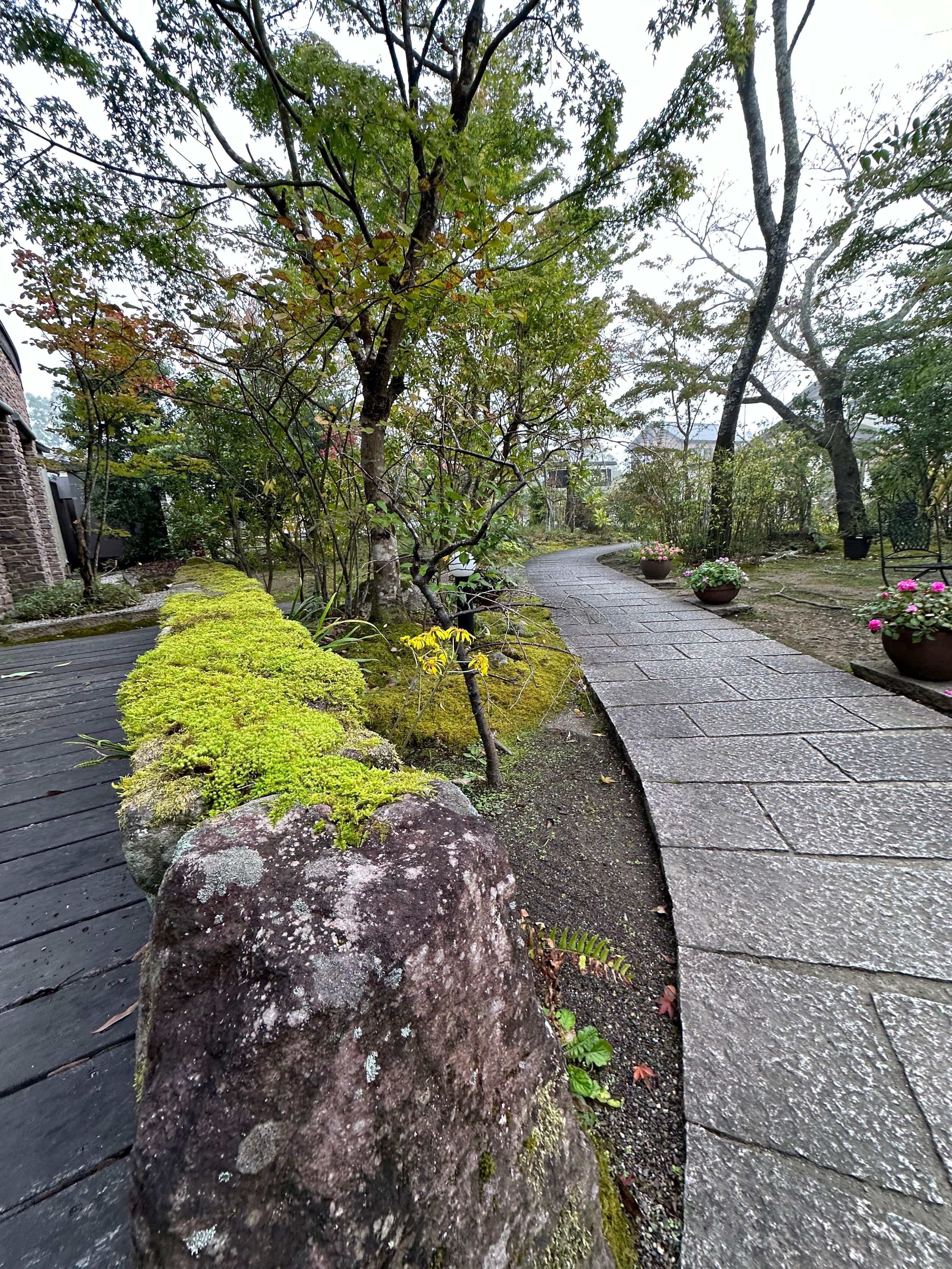 Lovely front garden 