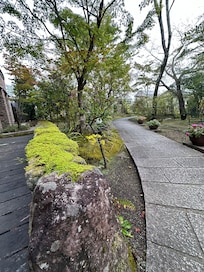 Lovely front garden