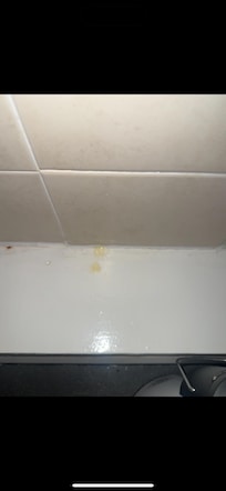 Pee marks around the toilet