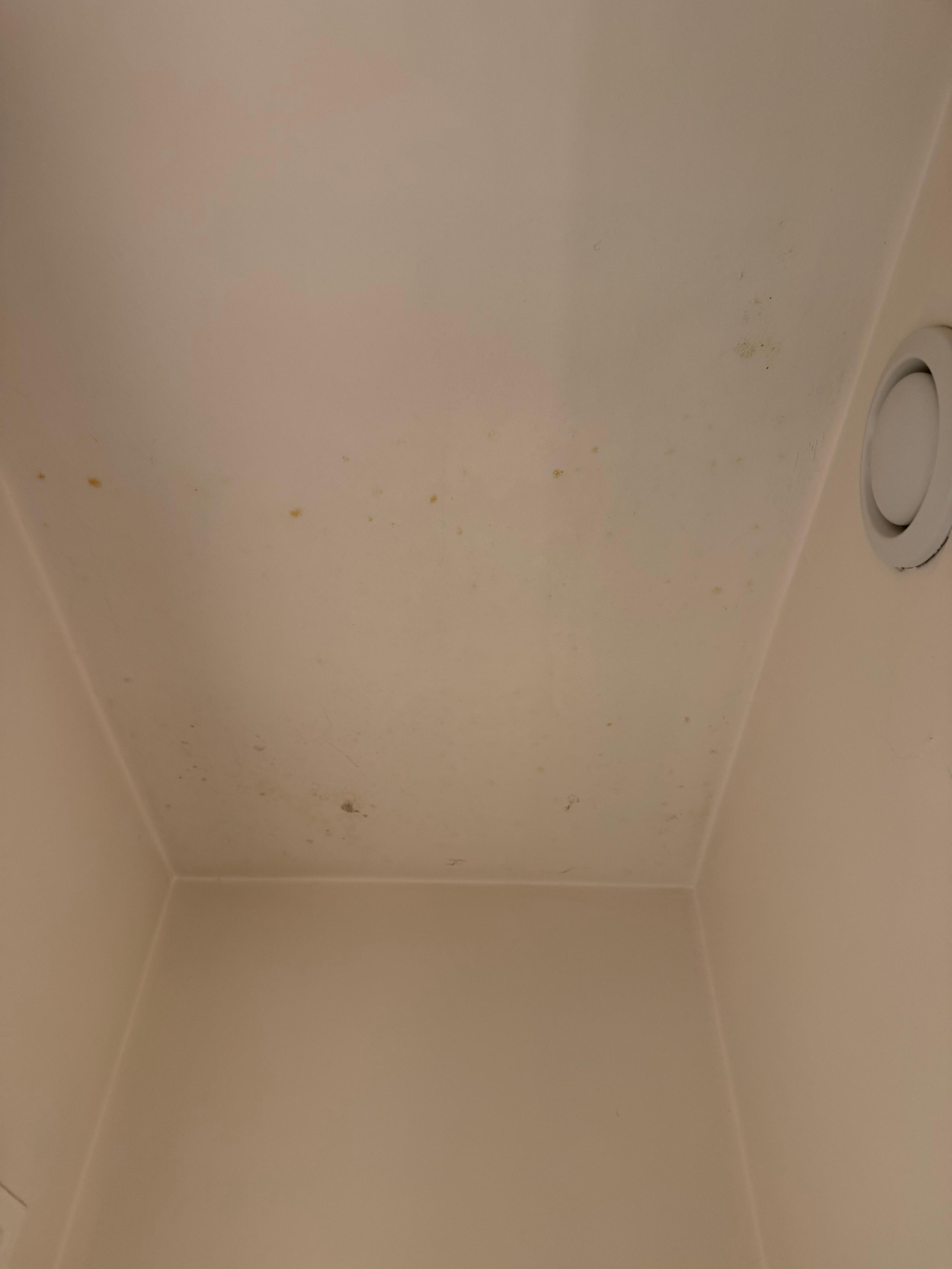 bathroom ceiling