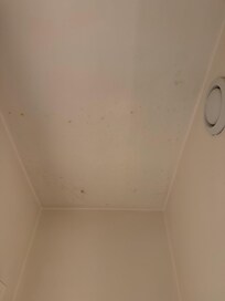 bathroom ceiling