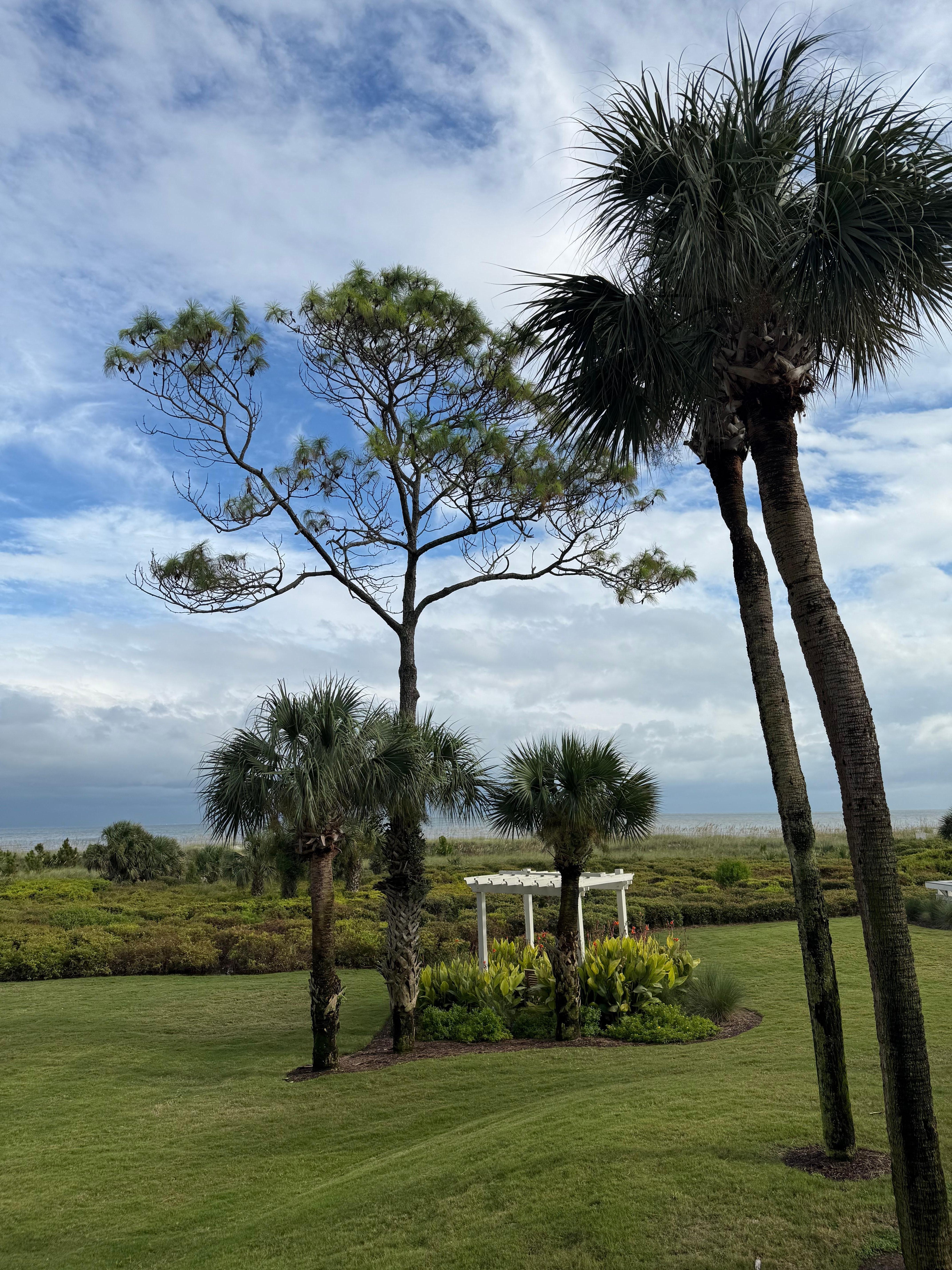 Directly in front of our balcony