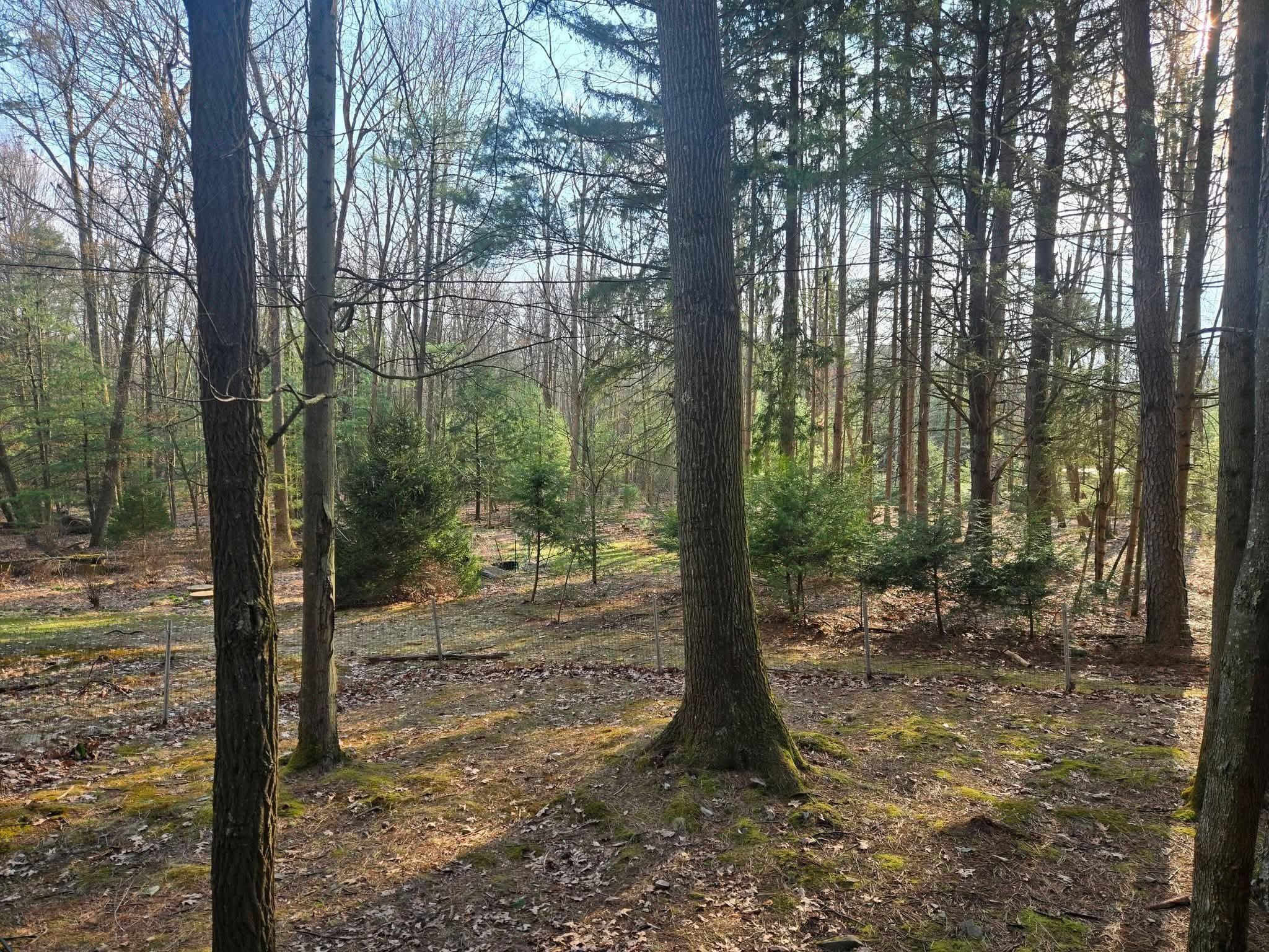 Outside the bedroom balcony 