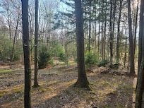 Outside the bedroom balcony