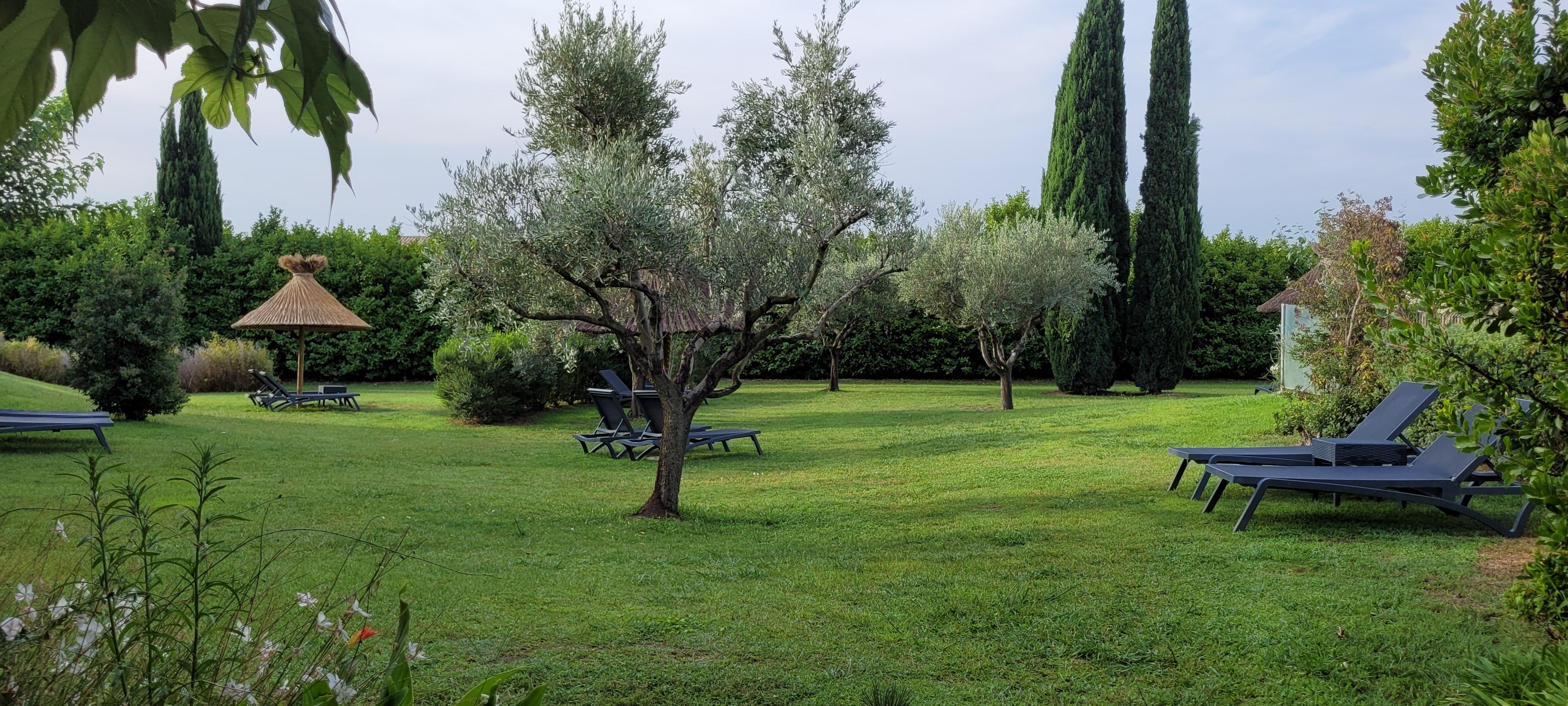 Le jardin de l'hotel