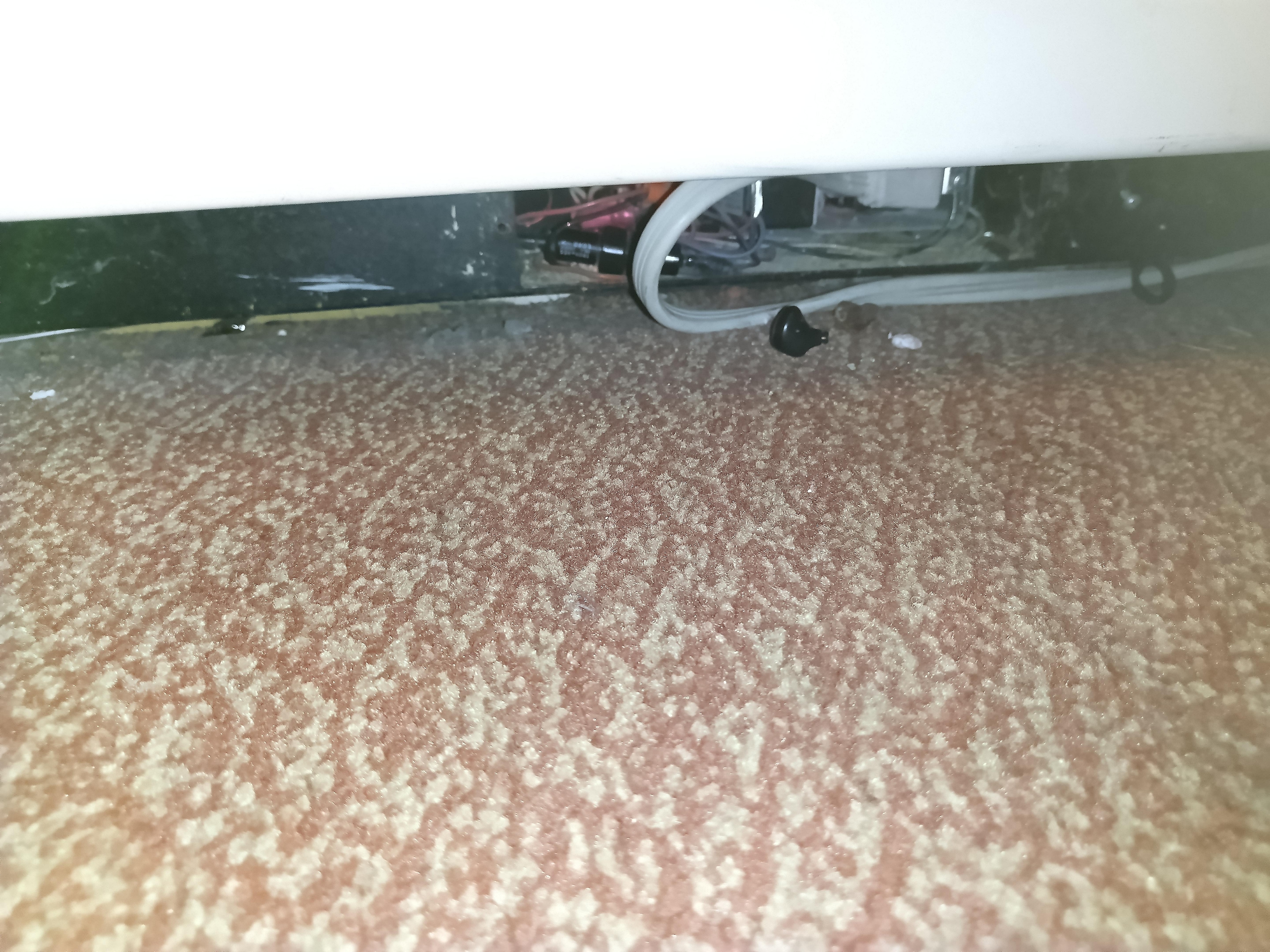 Des choses que l'on voit bien et qui pourtant restent.