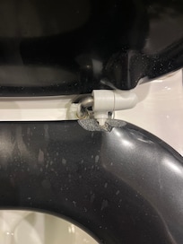 Broken/stained toilet seat