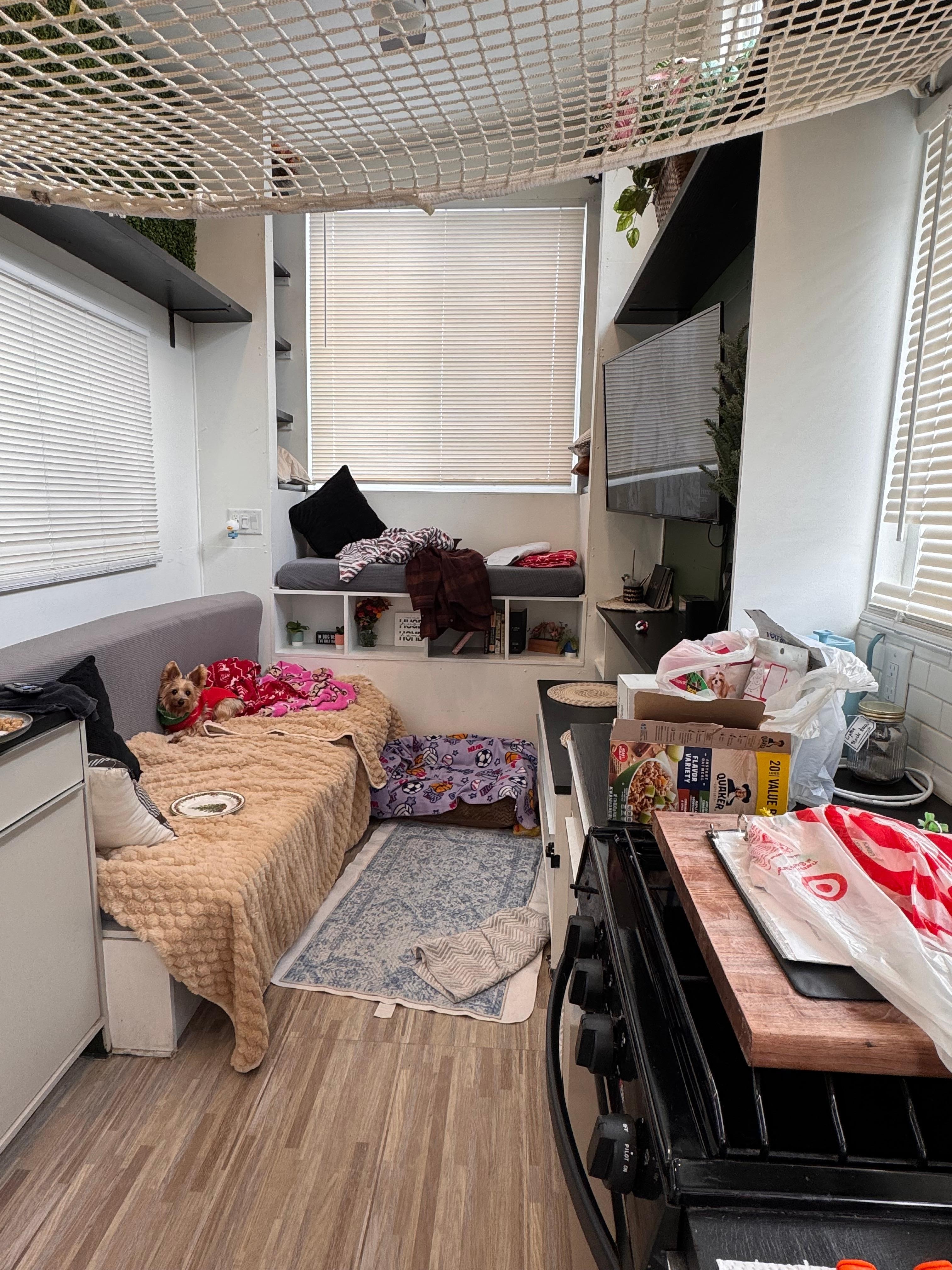 Misty, my elder pup wanted her picture taken too! 