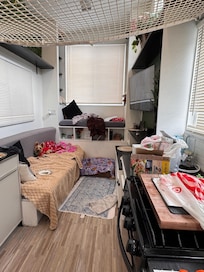 Misty, my elder pup wanted her picture taken too!