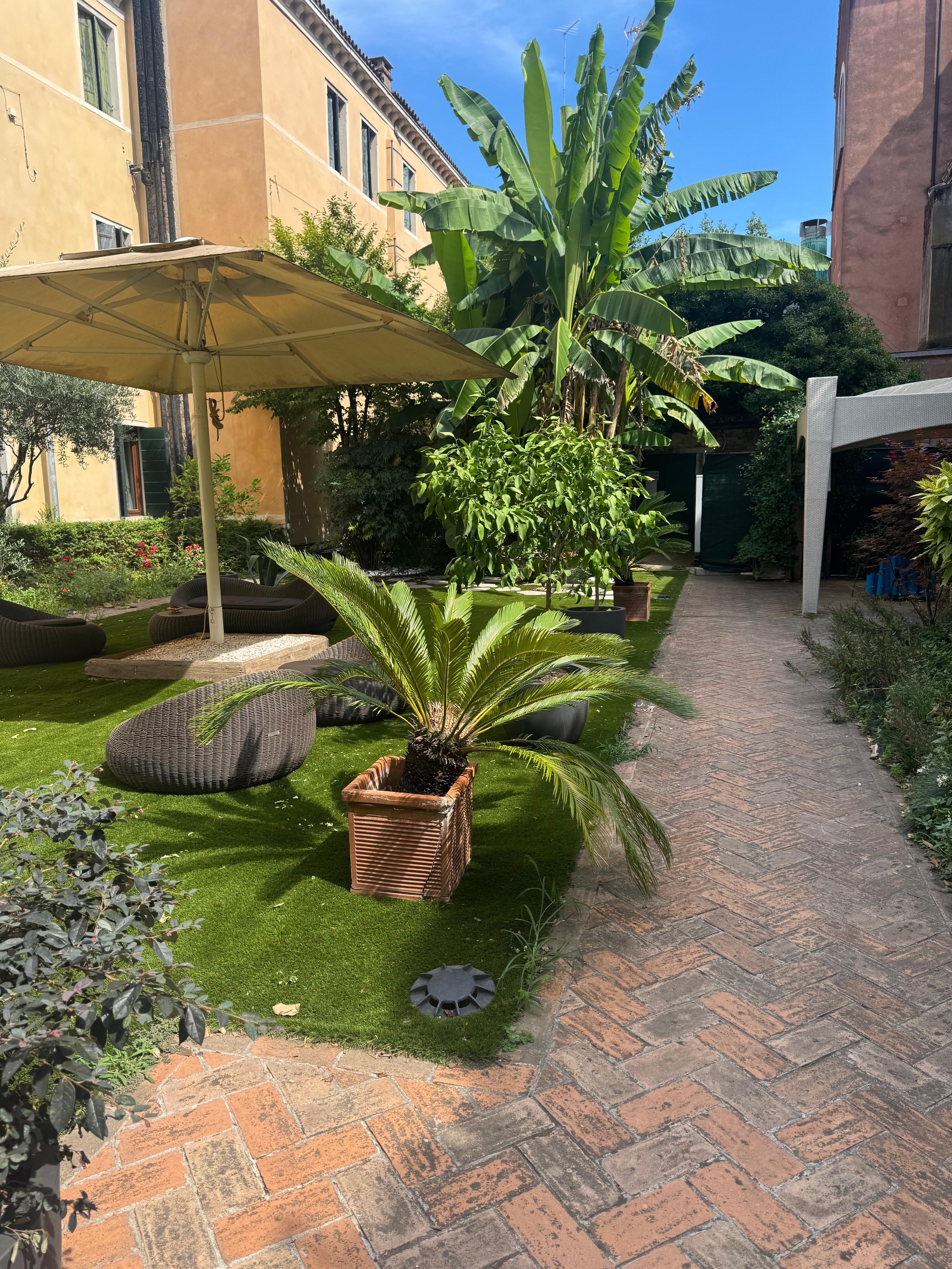 Garden