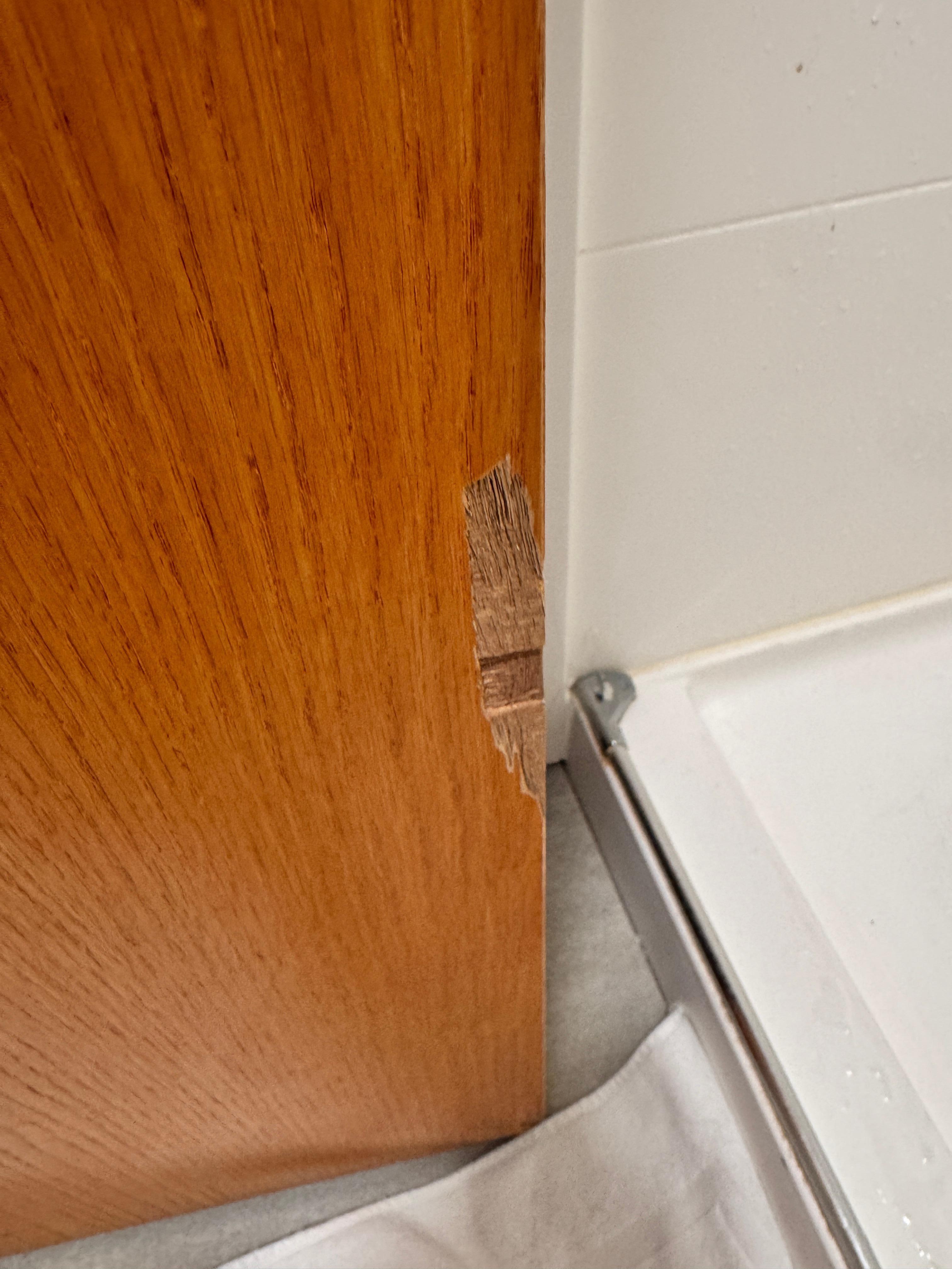 Door chipped from hitting the toilet 