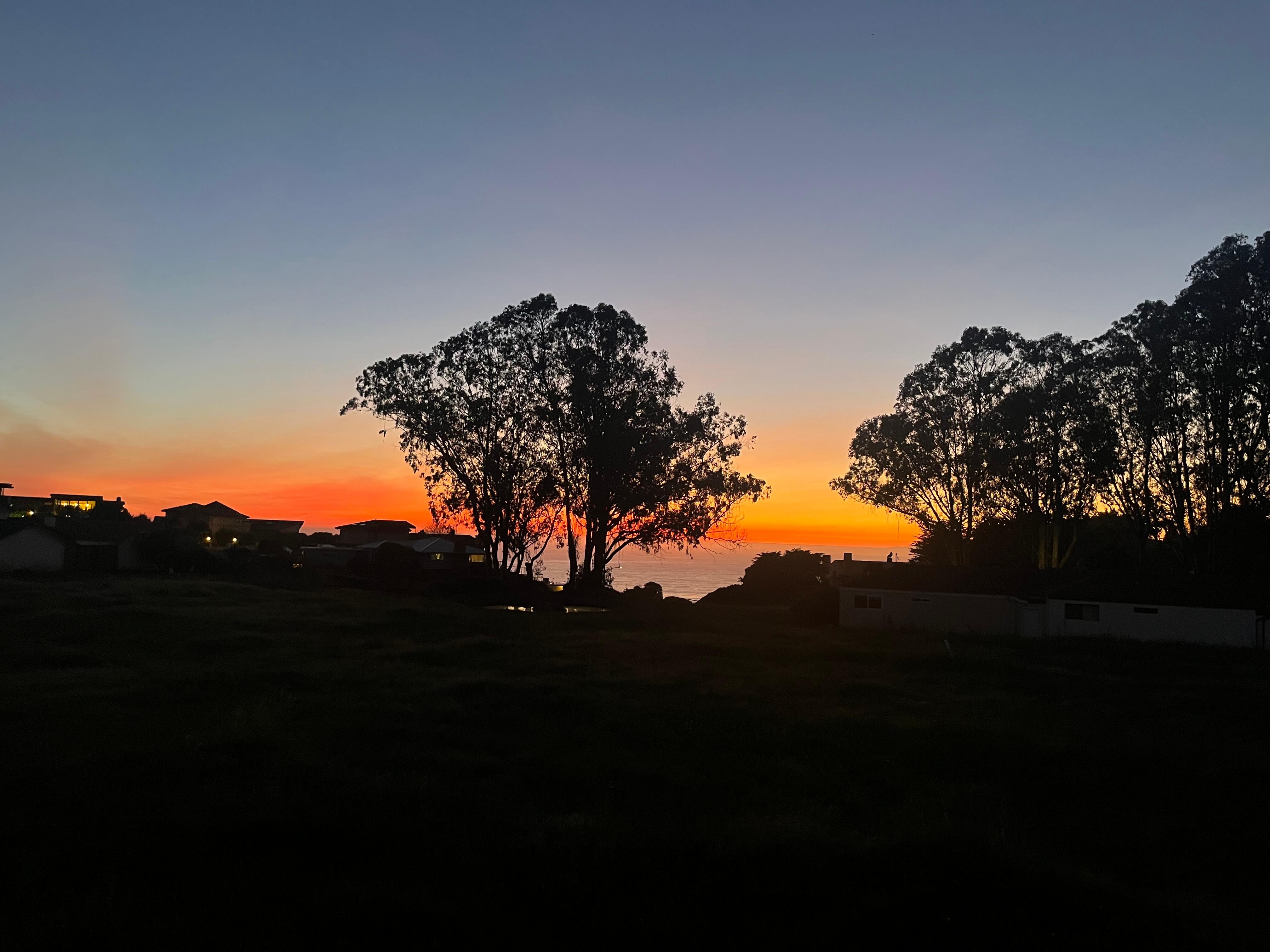 Looked even better in real life