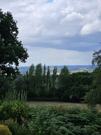 View from the living room