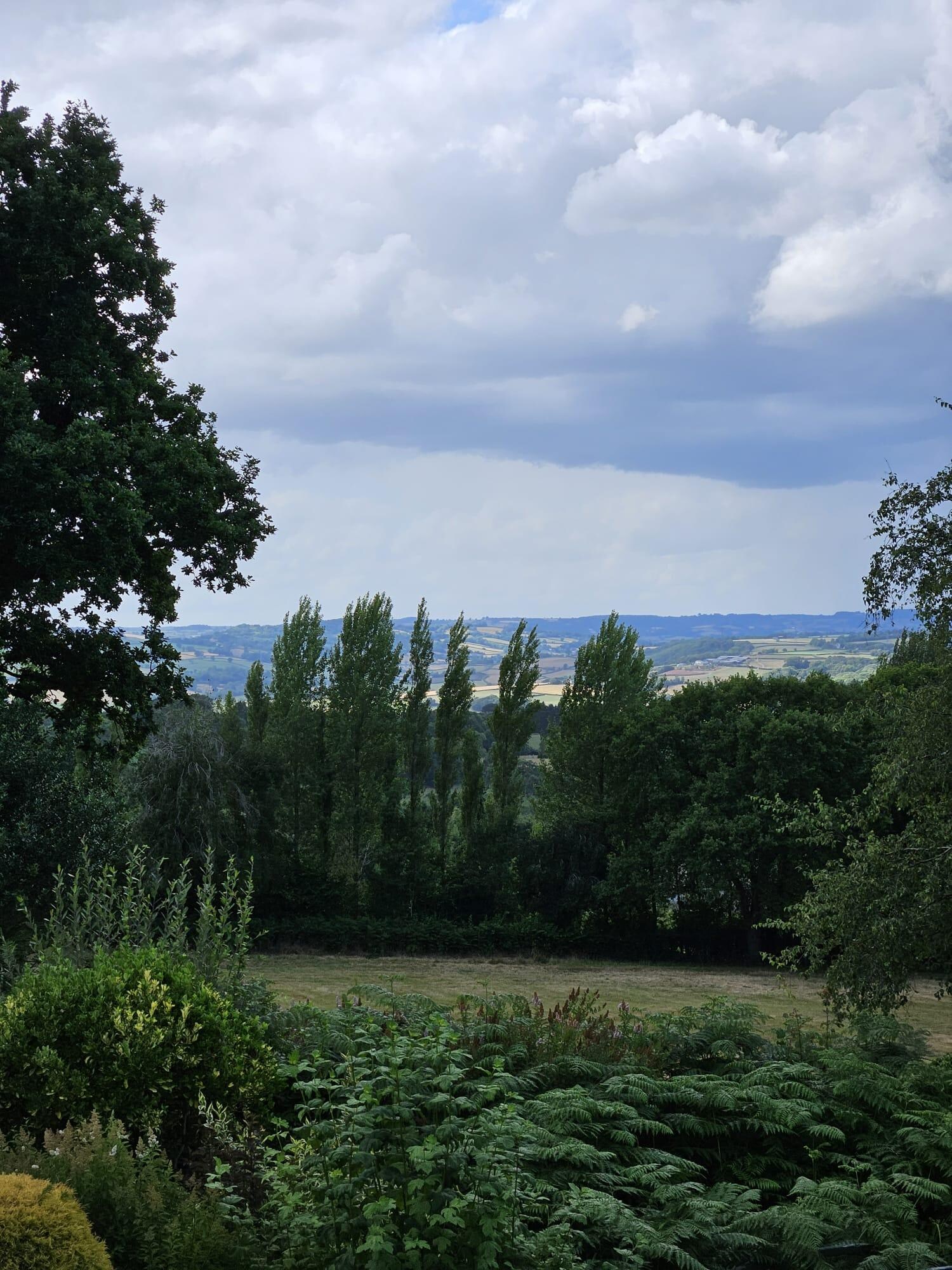 View from the living room 