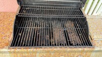 The grill