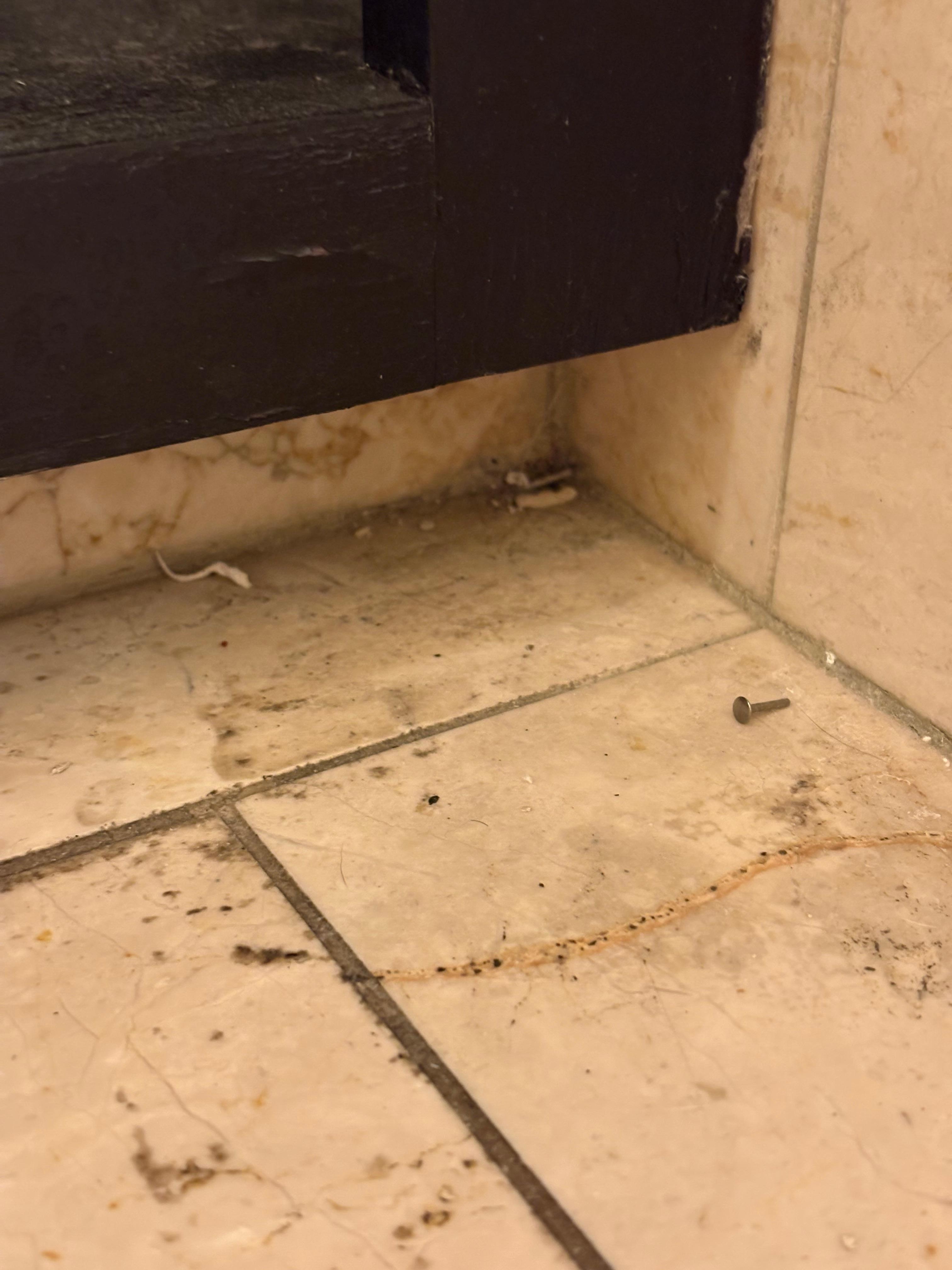 Yes, that is a nail.