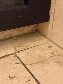 Yes, that is a nail.