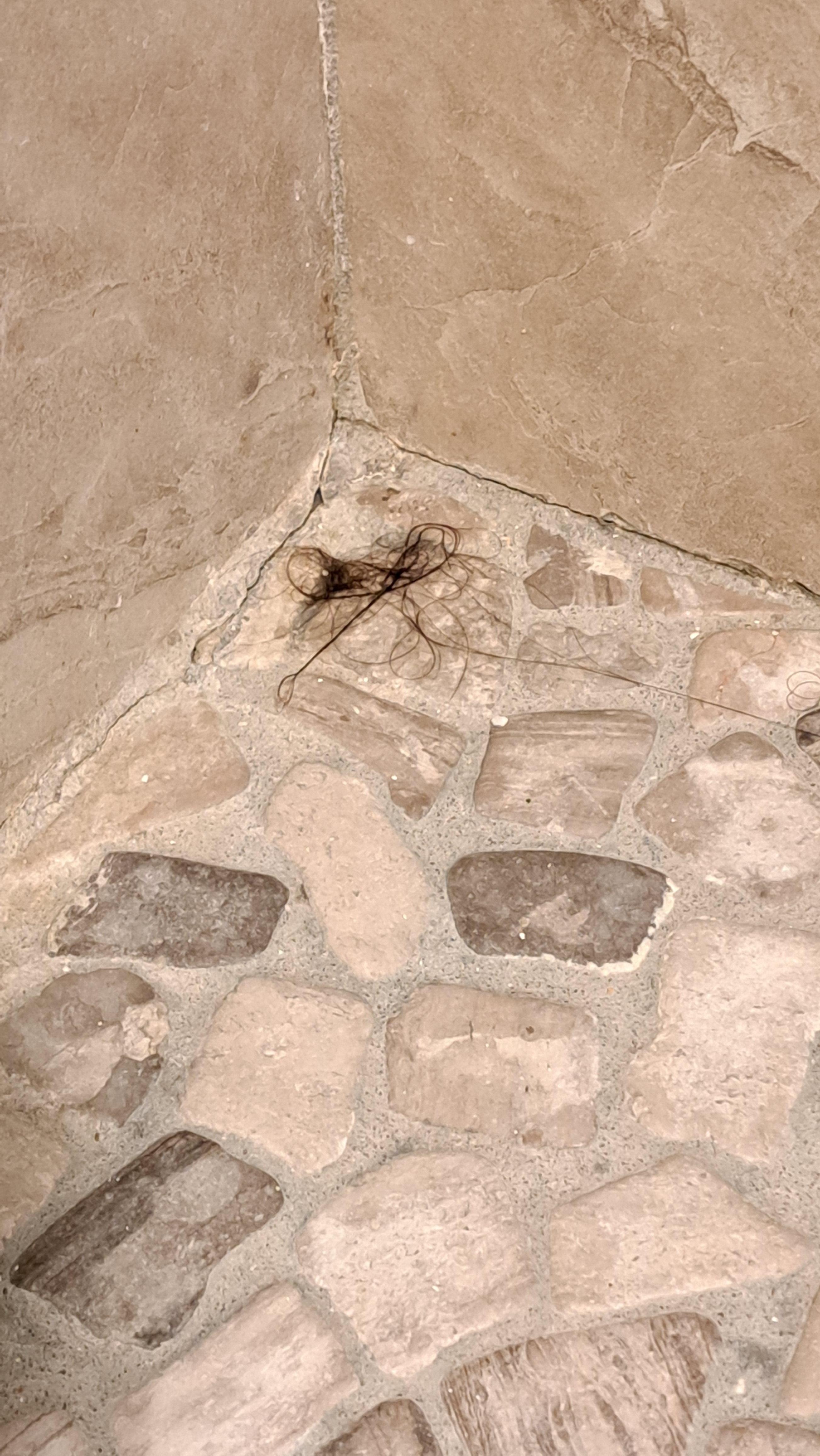 Hair still in  shower after house keeping came. 