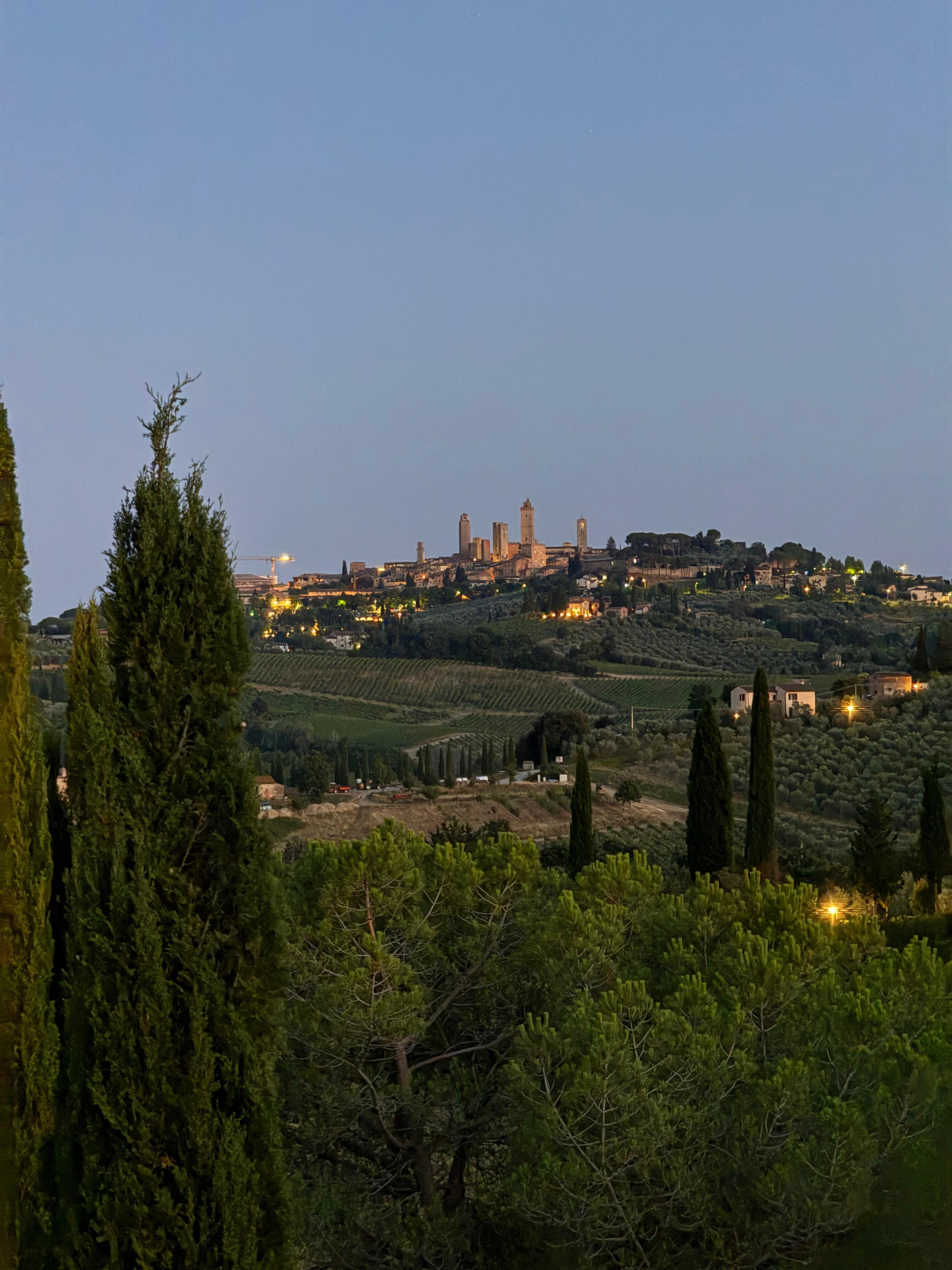 San Gimignano from the pool deck. 