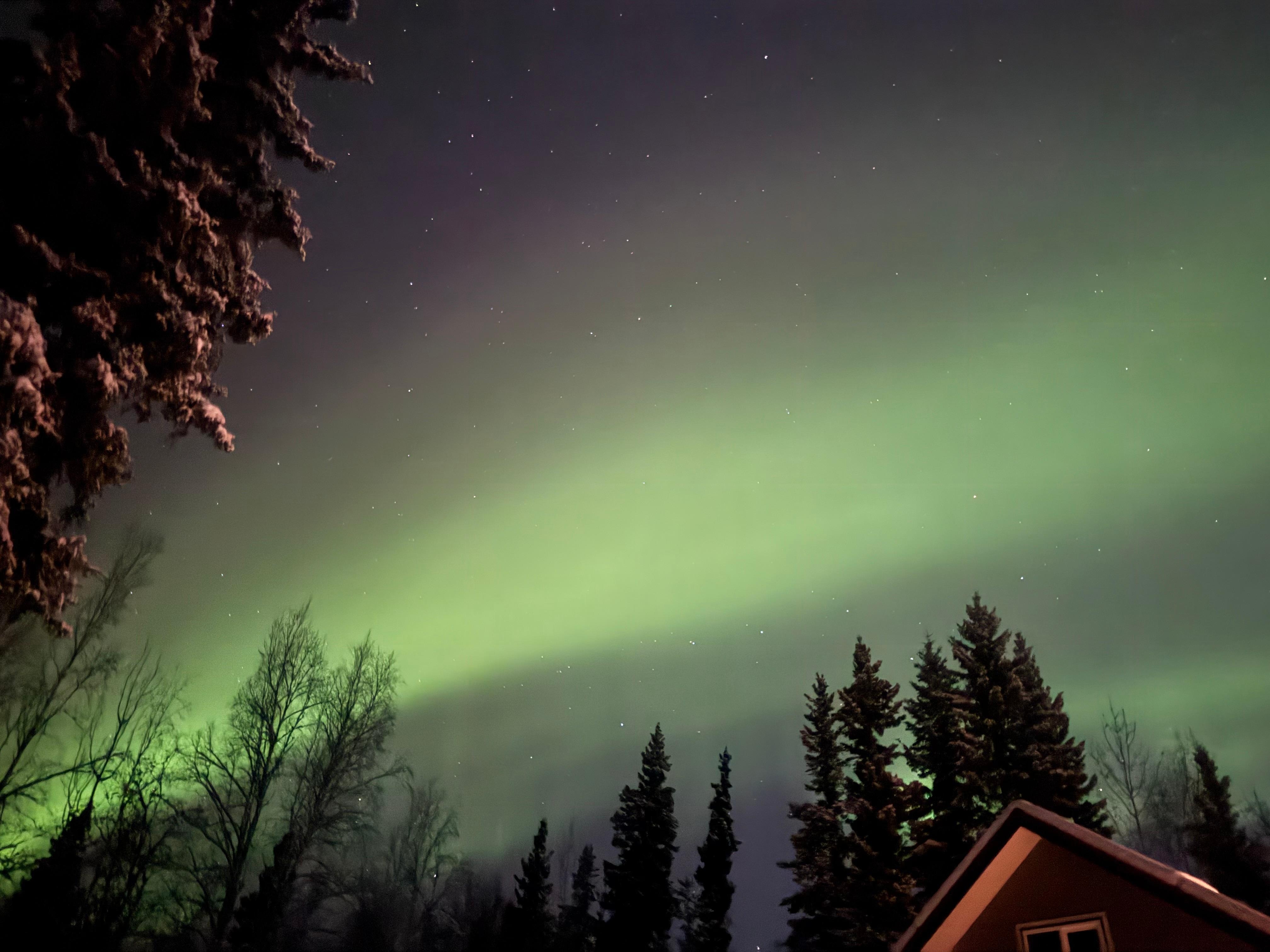 Northern lights Nov 2026 from drive way. 