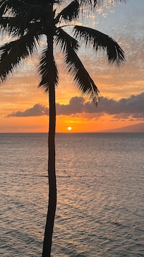 Spectacular sunsets