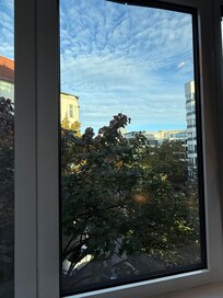 Window view
