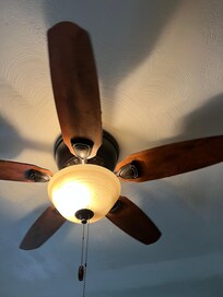 Chunks of dust on ceiling fan.
