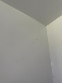 Lots of bugs