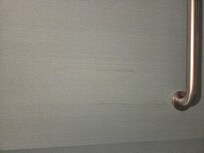 Mold on wallpaper.