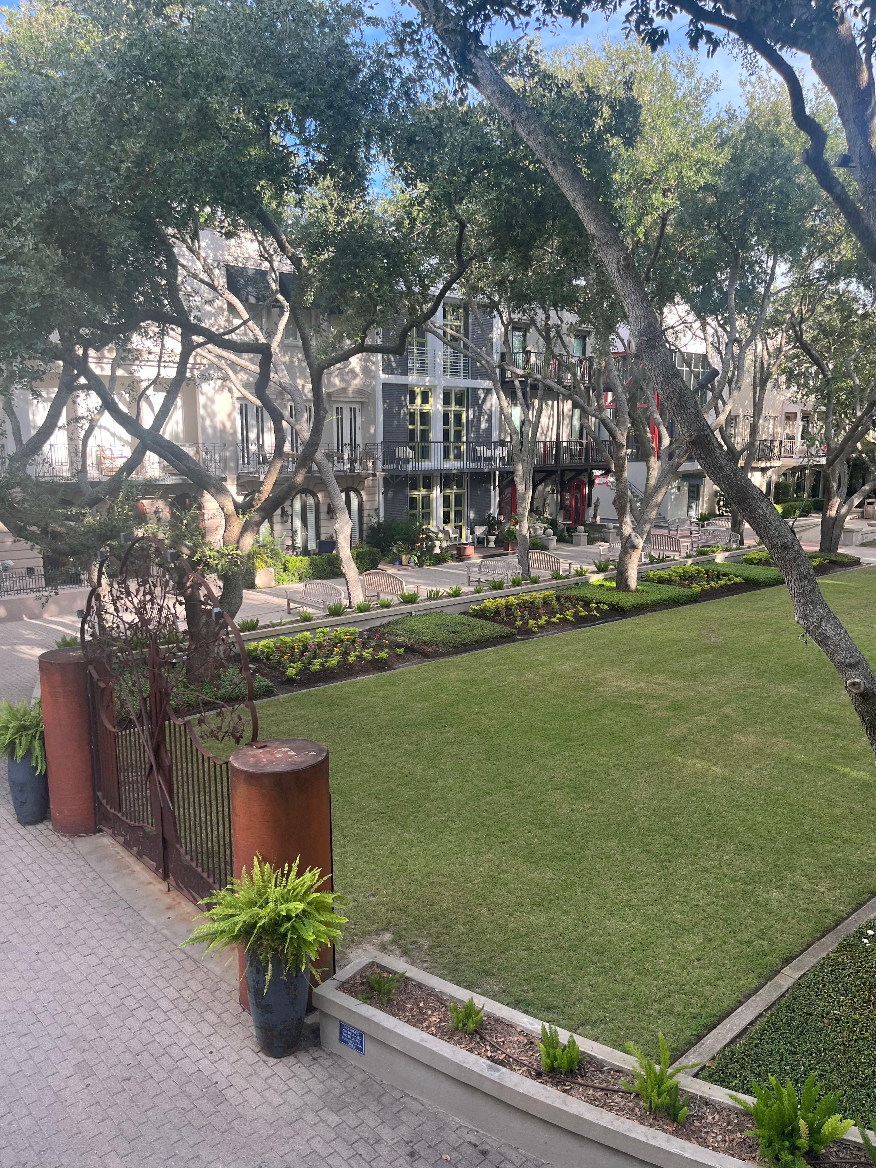 View from balcony of green space 