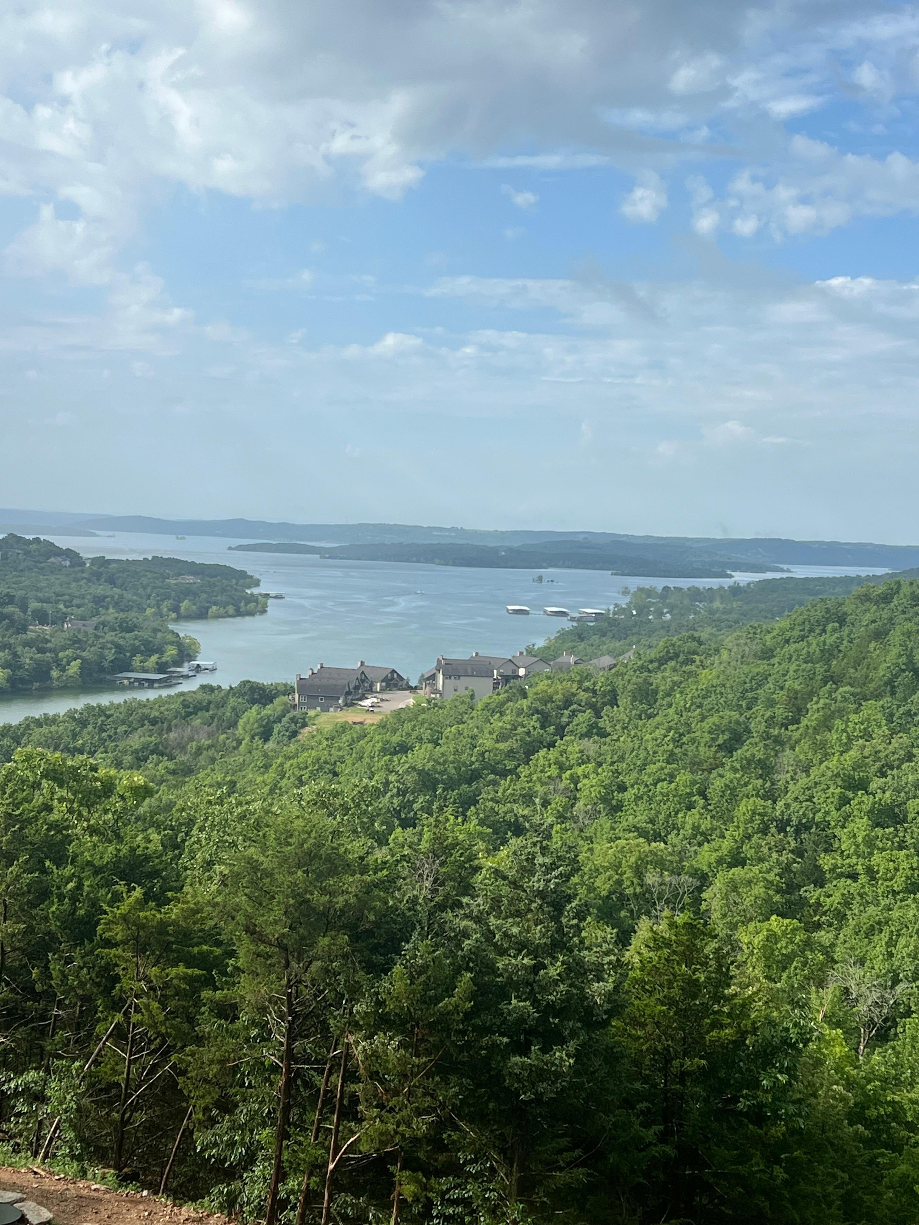The view