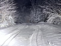 The bear of the Adirondacks with a bit of snow!