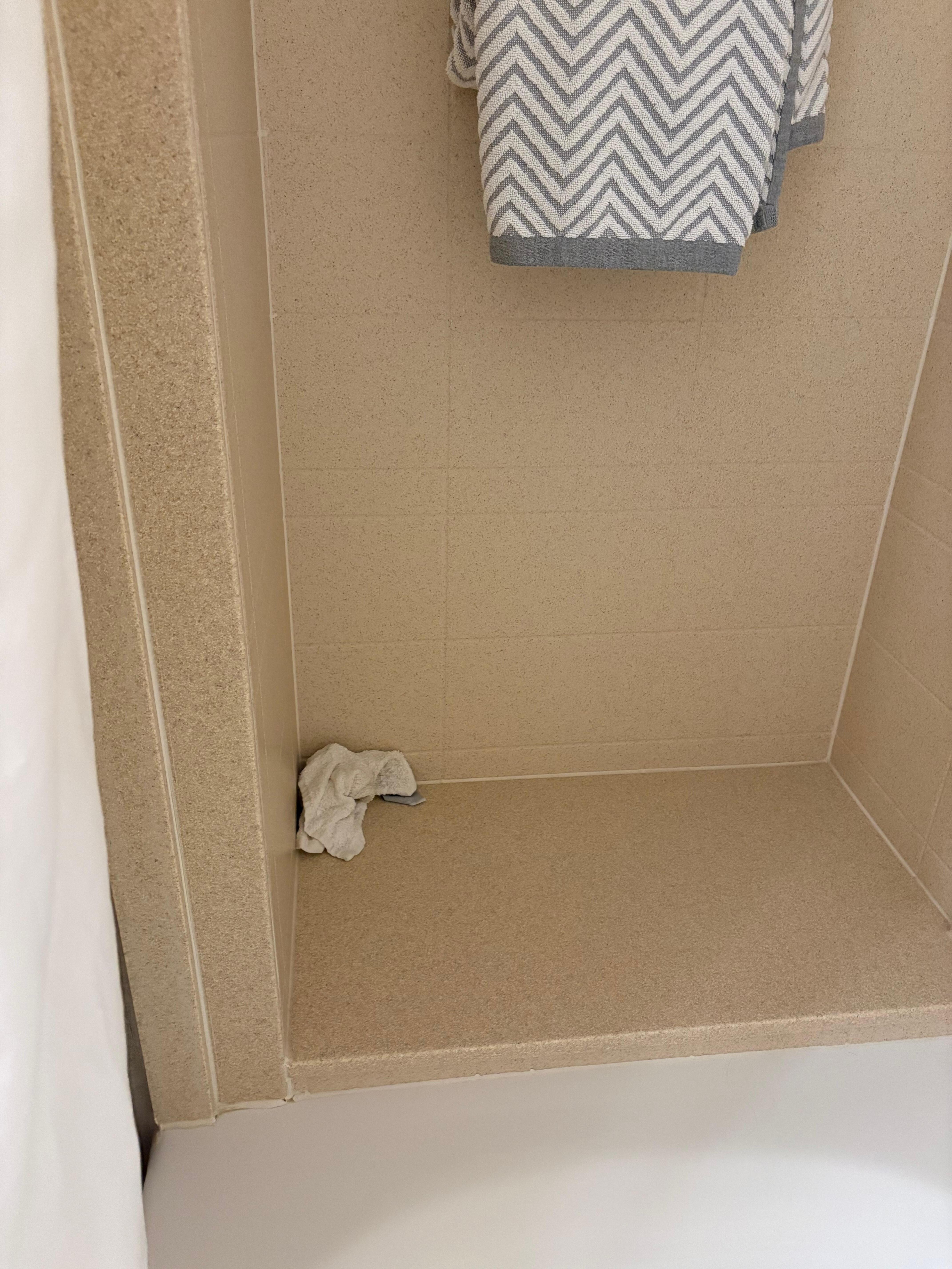 Used washcloth in the tub upon my arrival 