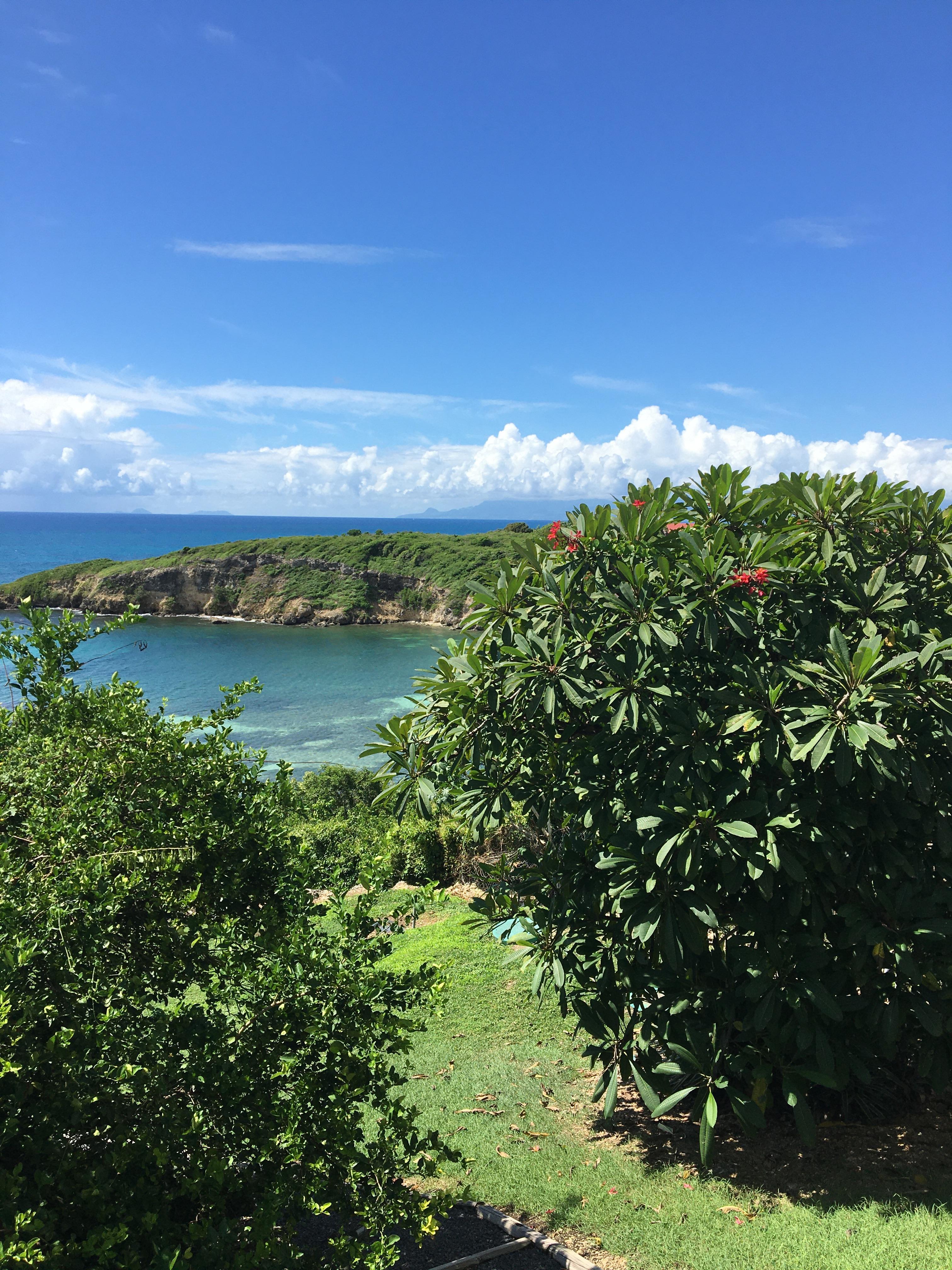 View from the hotel grounds.