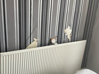 Radiator would not turn ofg