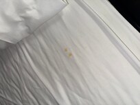 Food stains on the sheets