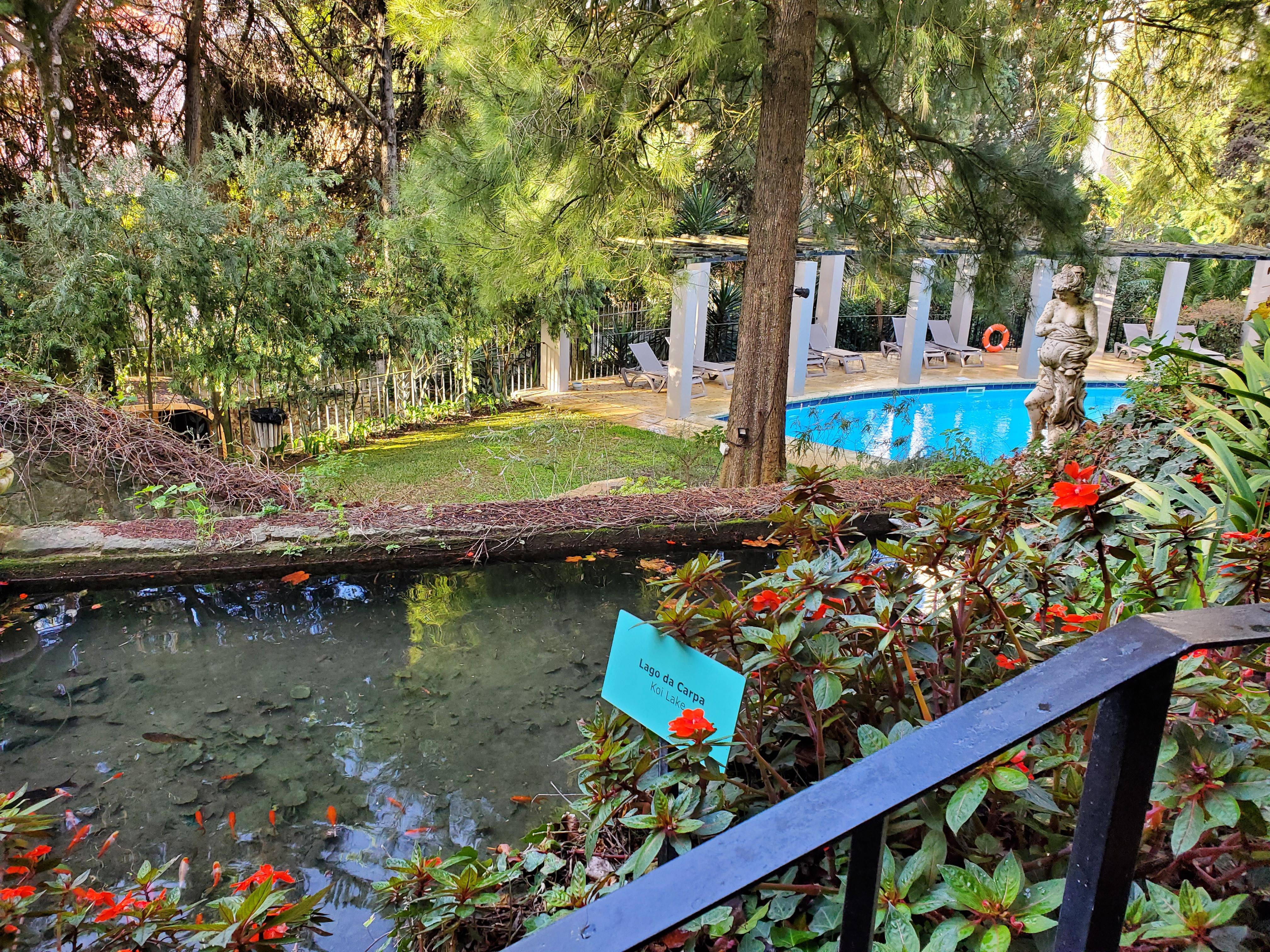 A small koi pond overlooking the pool.