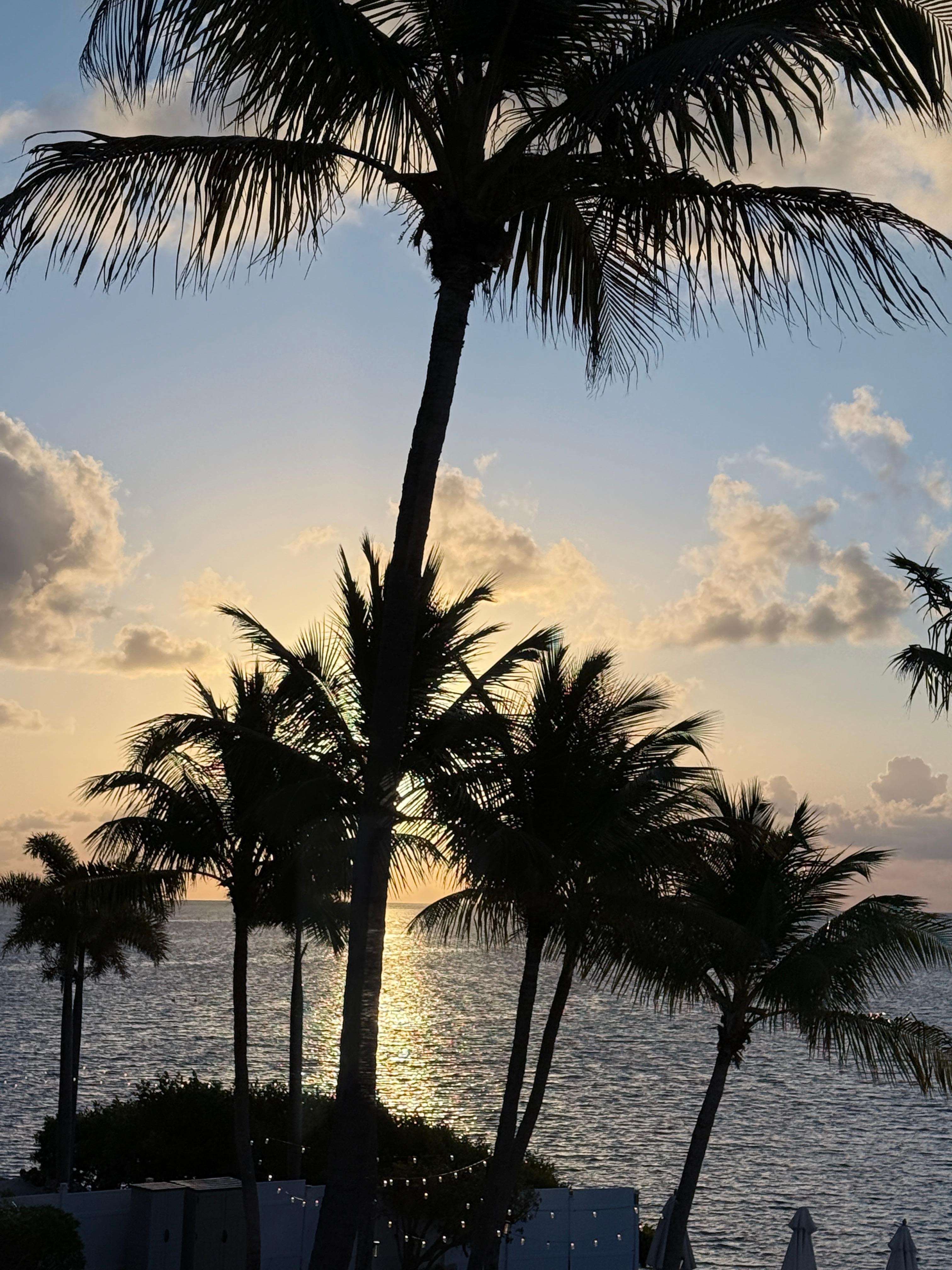 Morning view from room