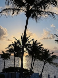 Morning view from room