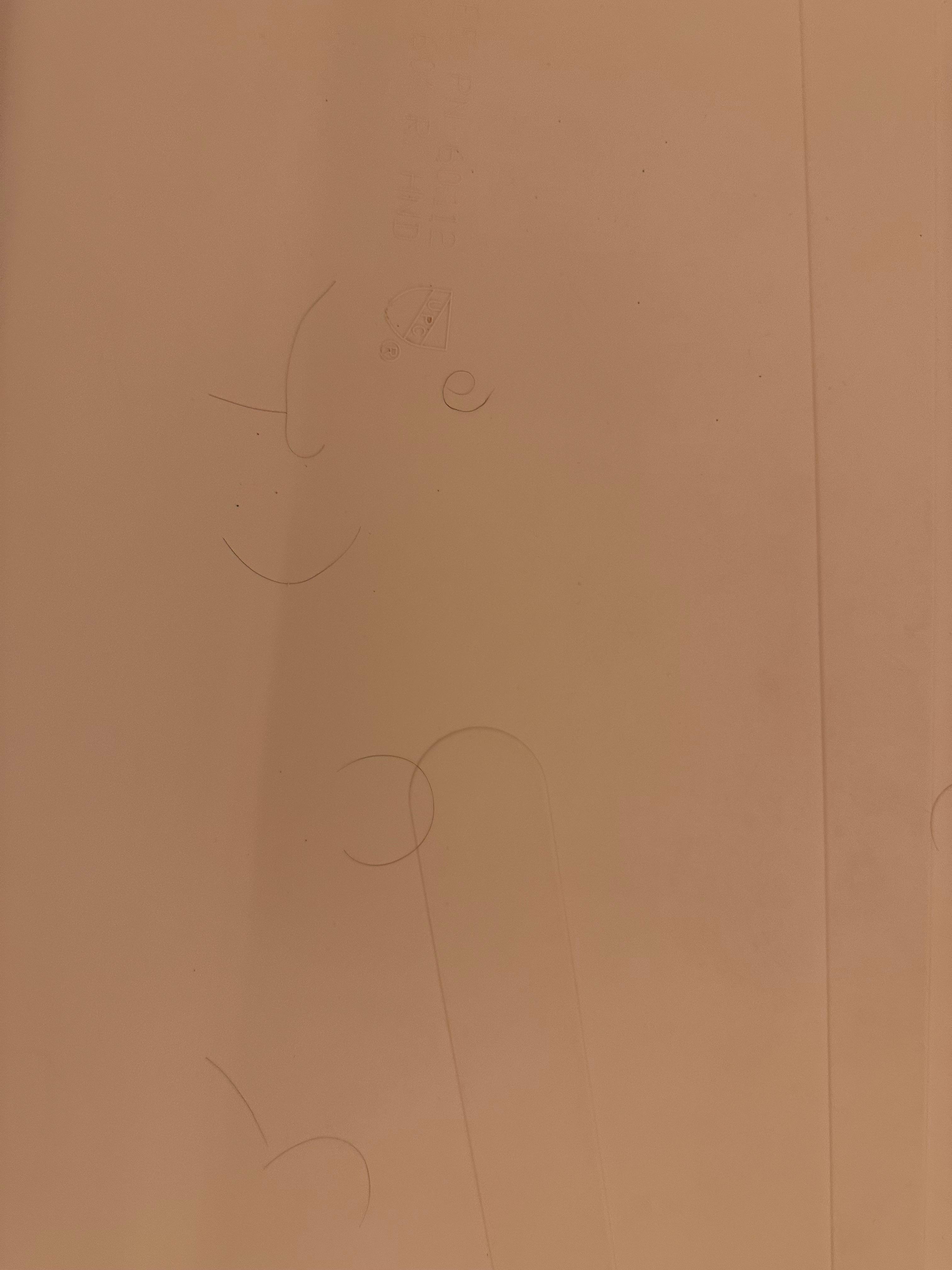 Multiple hairs on the floor of the shower. 