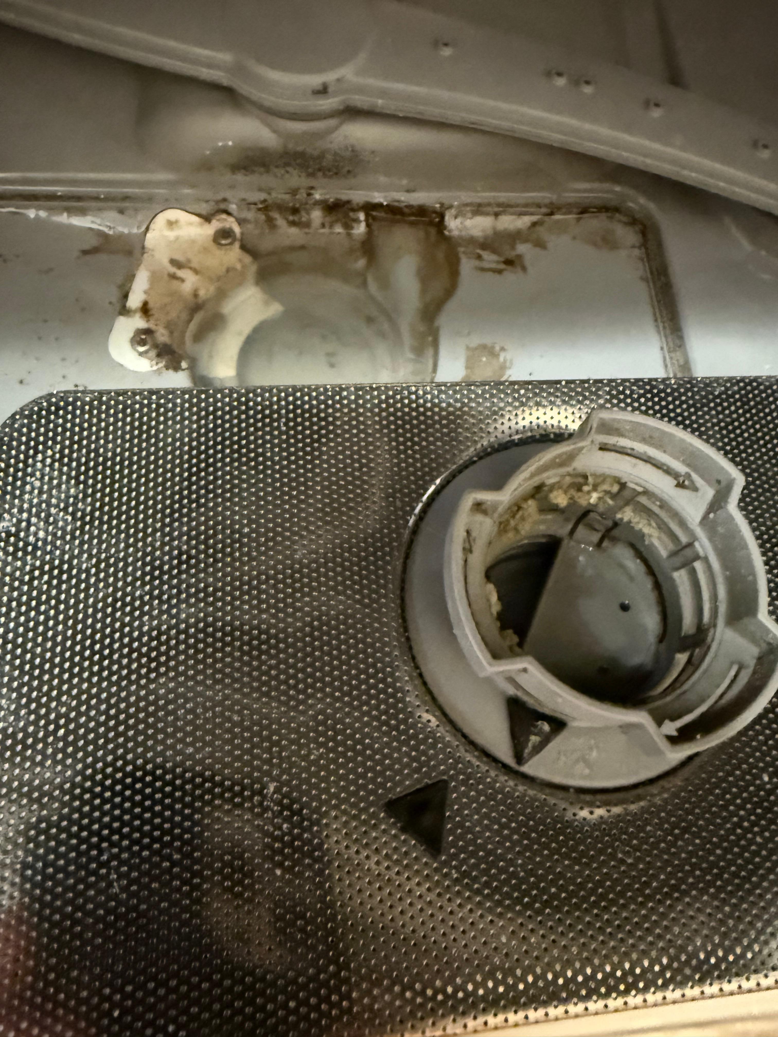 Mouldy dishwasher