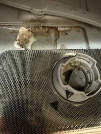 Mouldy dishwasher