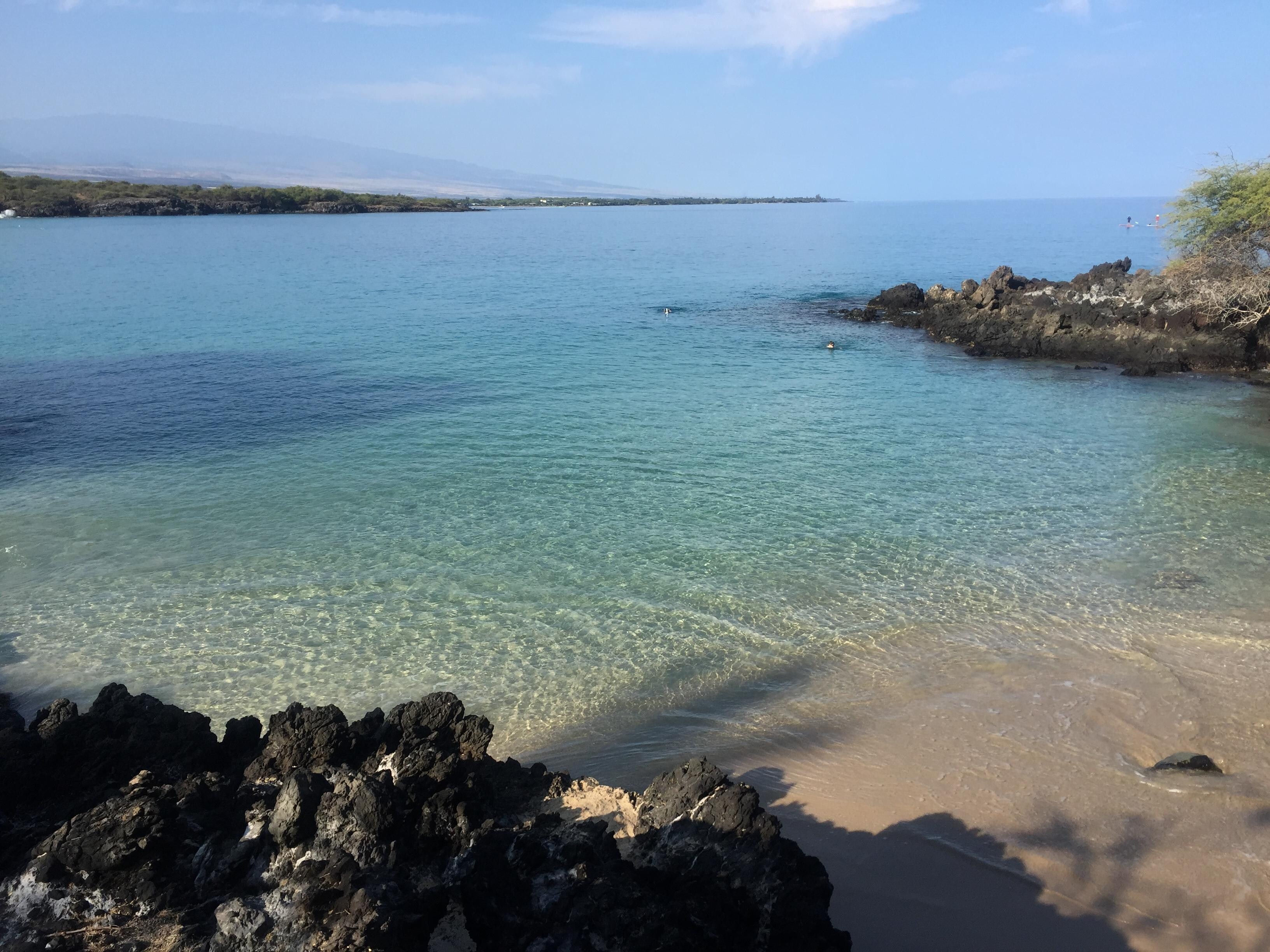 Turtle bay