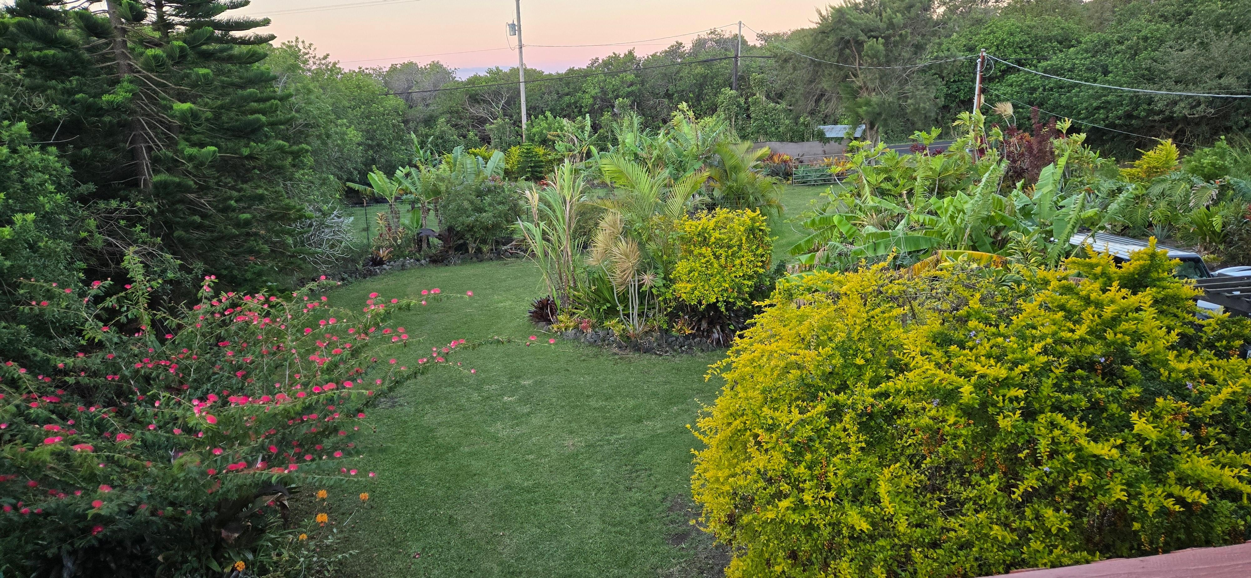 Lush Gardens at the property
