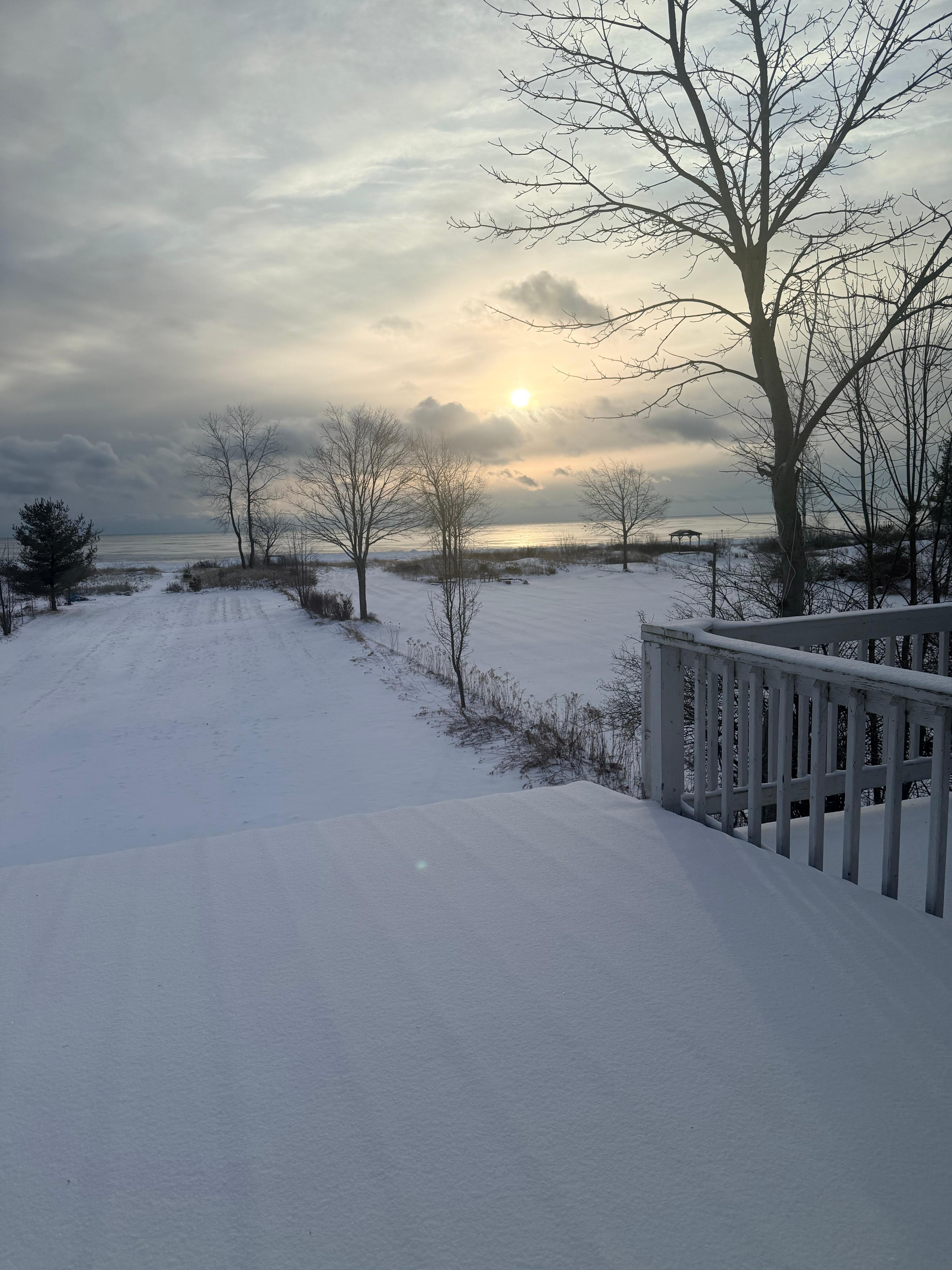 View from the living room.