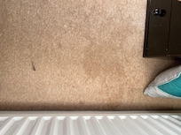 Stains on carpet that could easily be removed with some 1001 or other carpet cleaner.