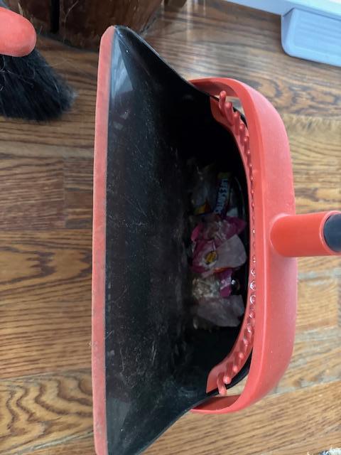 Found this when I went to sweep up the dirt 